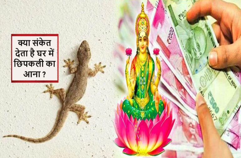 ghar me chhipkali ka dikhna