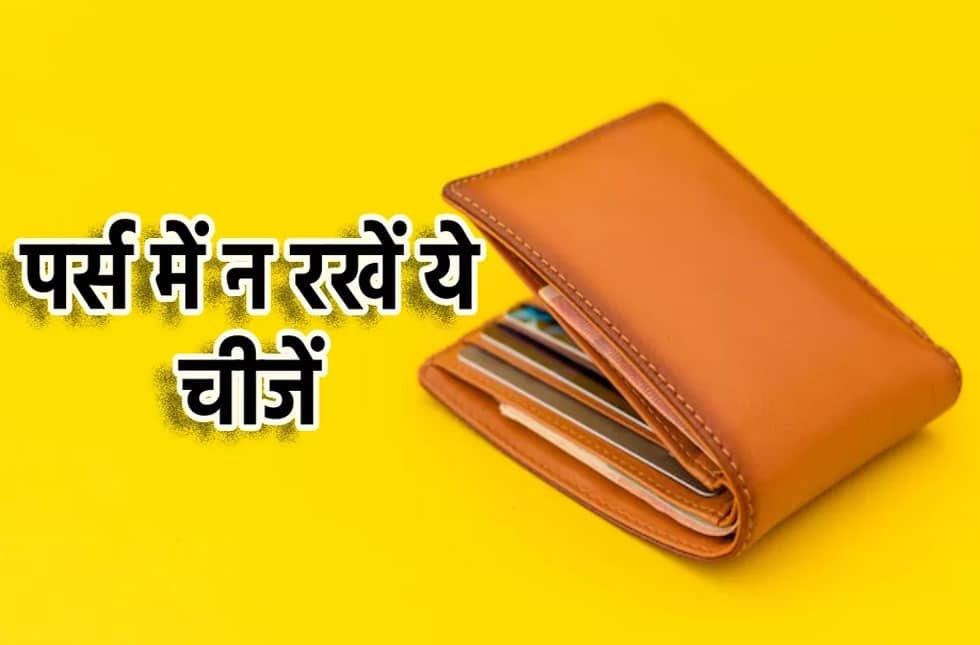 Vastu Tips For Wallet And Purse