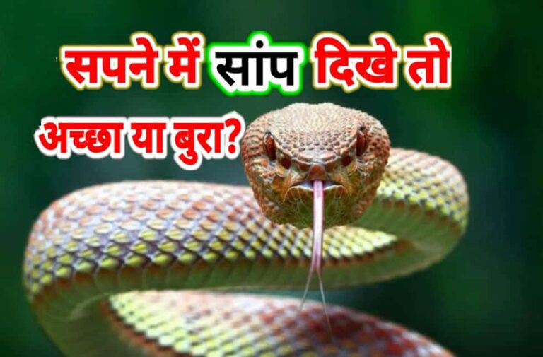 सपने में सांप देखने का मतलब
