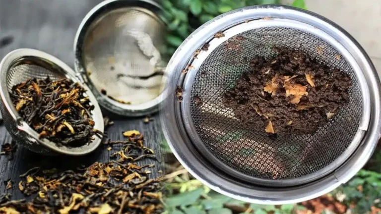 bachi hui chai patti ka use