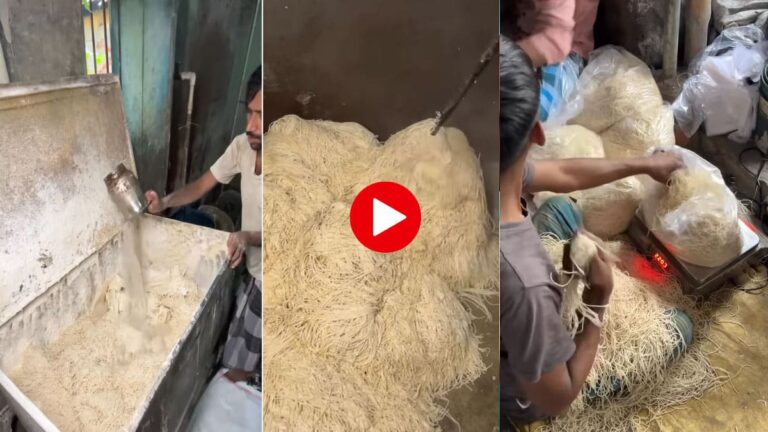 Video: जिंदगी में दोबारा नहीं खाएंगे रोड साइड ठेले के नूडल्स, बनाने का तरीका देख लो noodles making viral video