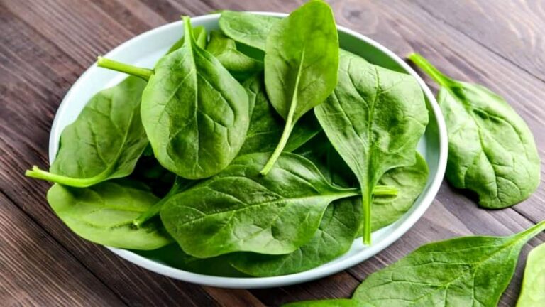 palak kise nhi khana chahiy