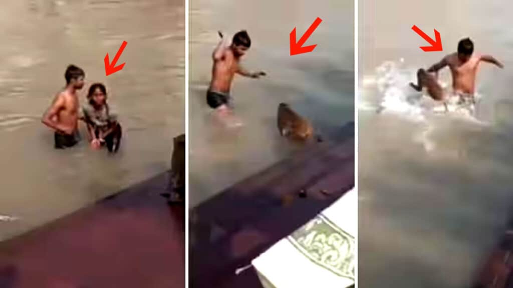 गर्लफ्रेंड ने लिया पंगा तो गुस्साए बंदर ने बॉयफ्रेंड को दौड़ा-दौड़ाकर पीटा, Video वायरल