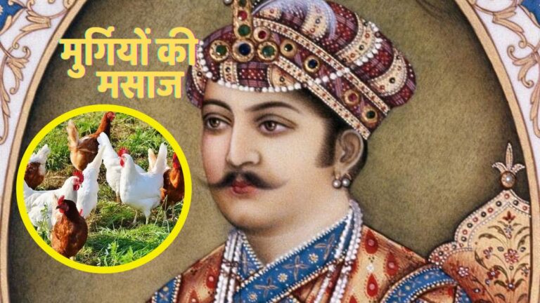 बादशाह अकबर करवाता था मुर्गियों की मसाज! वजह जानकर लगेगा झटका malik