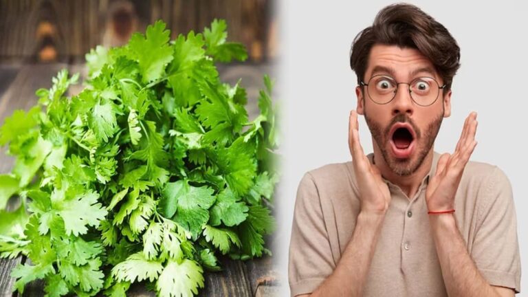 purushon ko dhaniya nahi kh