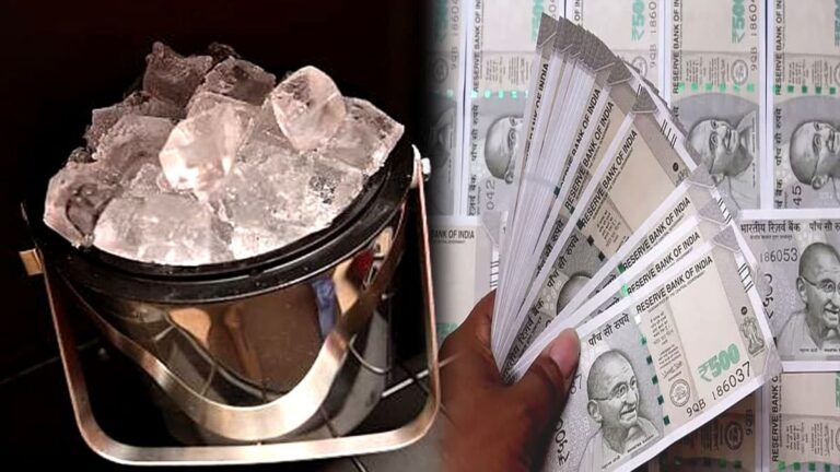 business idea for summer