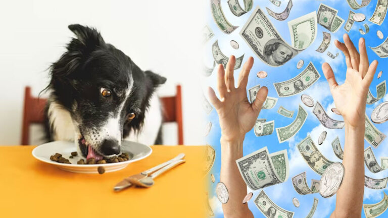 pet food tester jobs