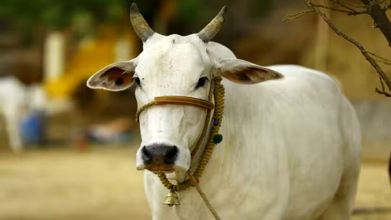 sapne me gaay dekhna