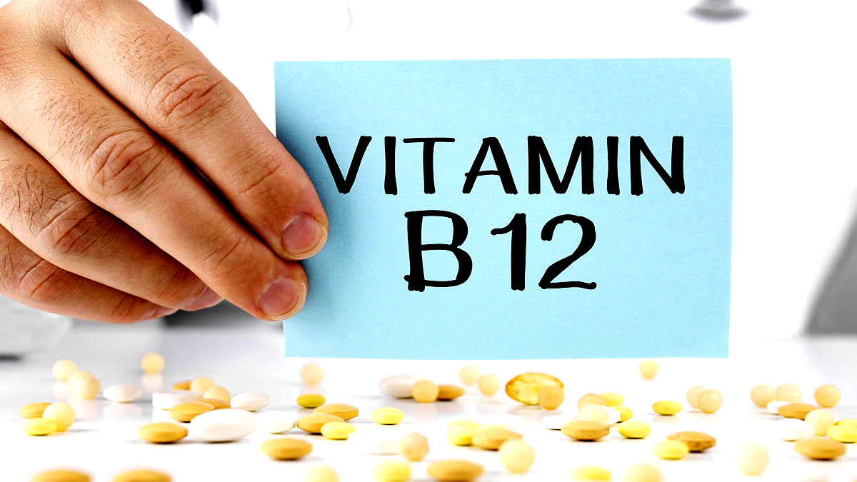 vitamin b 12 rich foods
