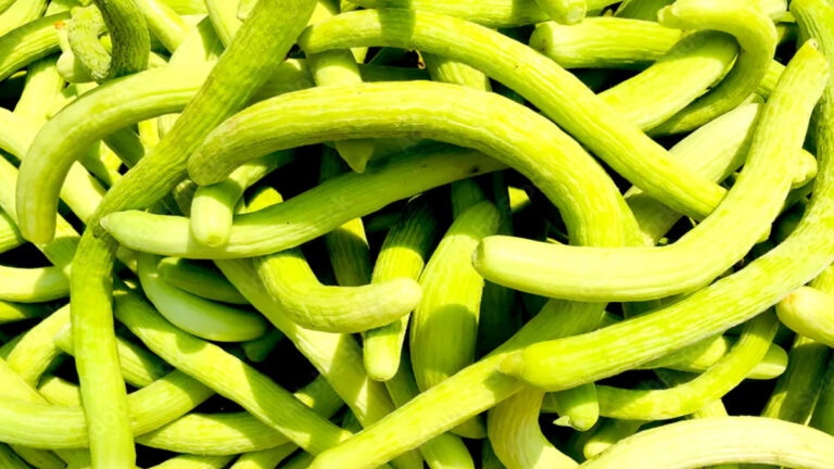 kakdi khane ke fayde