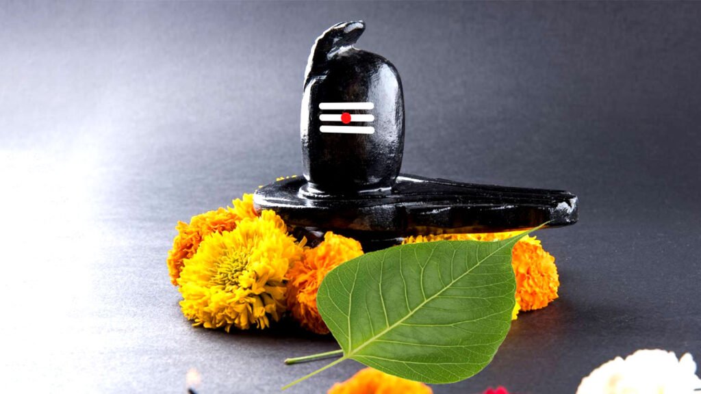 shivling par pipal ka patta