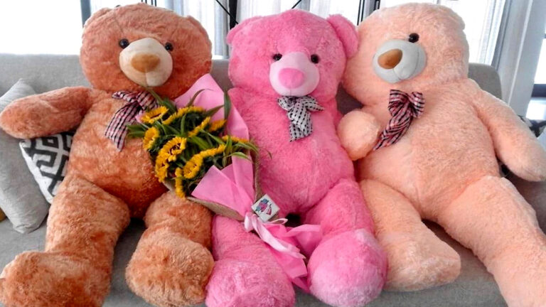 Business Idea: सड़क किनारे भी शुरू कर सकते हैं यह बिजनेस, रातों-रात होगी बंपर कमाई teddy bear making business