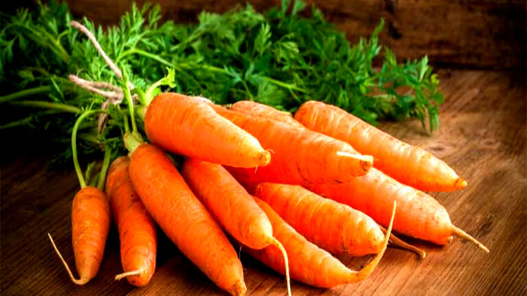 gajar khane ke fayde