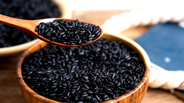 kale chawal ki kheti