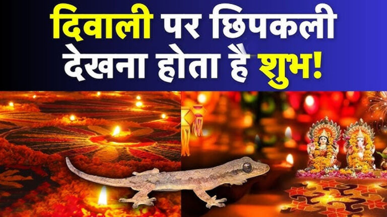 दिवाली पर देख लें यह एक चीज, साल भर नहीं होगी धन की कमी dilwali par chipkali ka dik