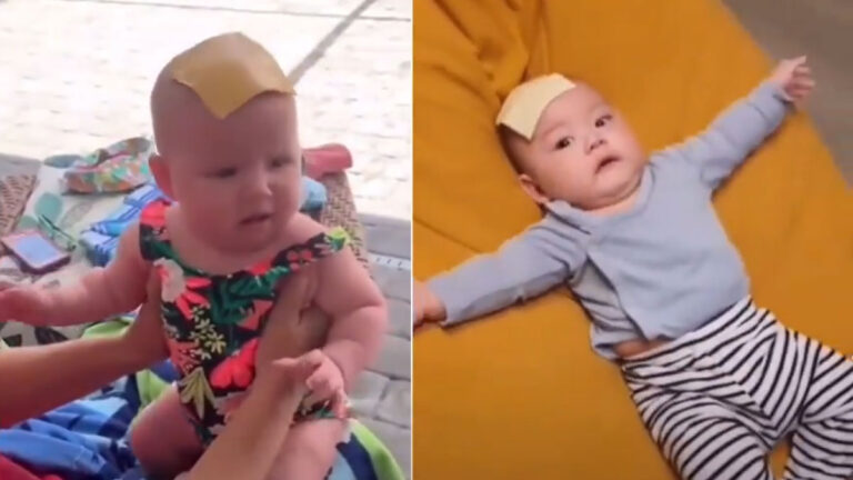 funny viral video