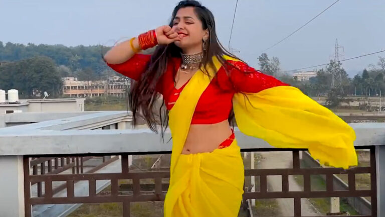 pili saree wali bhabhi vid