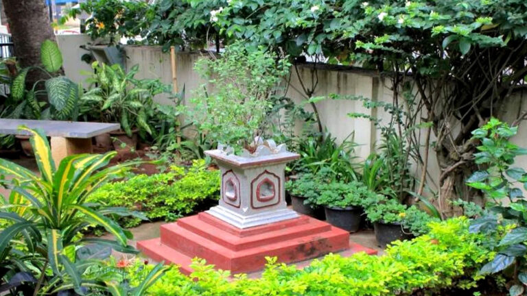 plants are not good for hom