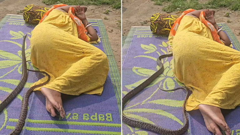 सोती महिला के ऊपर पहुंचा खतरनाक सांप, Video देख कांप जाएगा कलेजा snake viral video