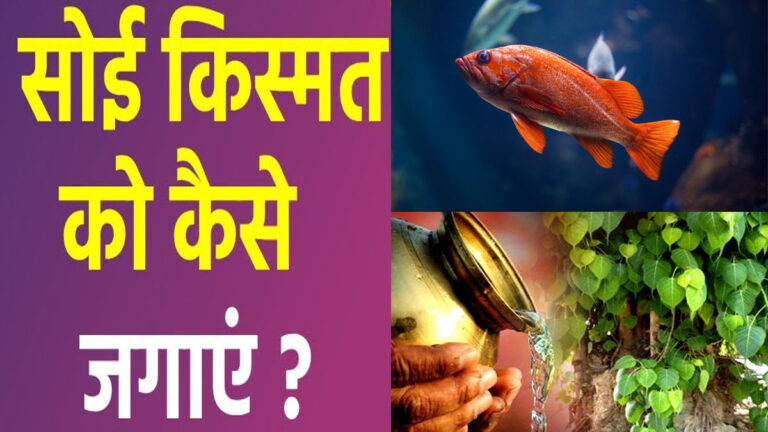 सोया भाग्य जगा देंगे ये 5 वास्तु उपाय! तरक्की देख जलेंगे लोग soyi kismat ko kaise jagaen