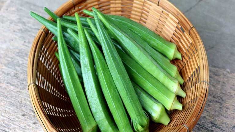 bhindi kharidne ke tips