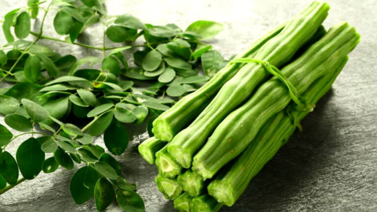 moringa benefits