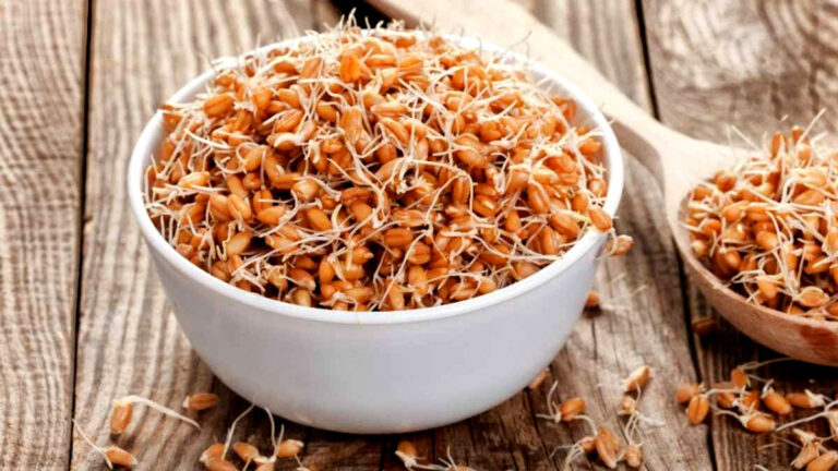 अंकुरित गेहूं खाने के दमदार फायदे, वजन होगा कम, हड्डियां बनेंगी मजबूत ankurit gehun