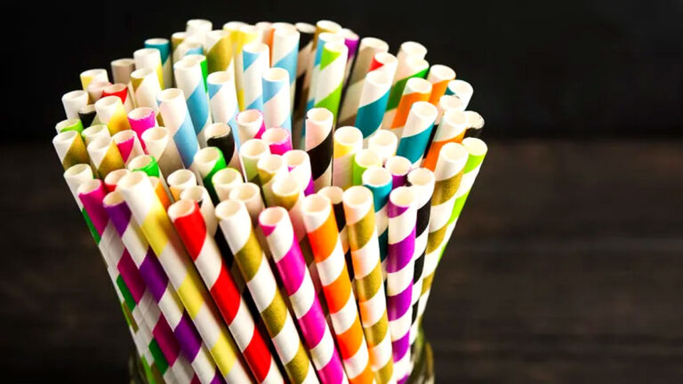 paper straw business