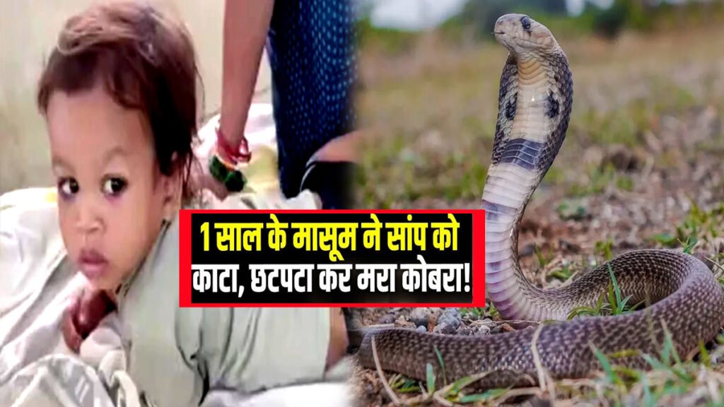 OMG: 1 साल के बच्चे ने कर डाले सांप के 2 टुकड़े! चर्चा में बिहार का मासूम गोविंदा