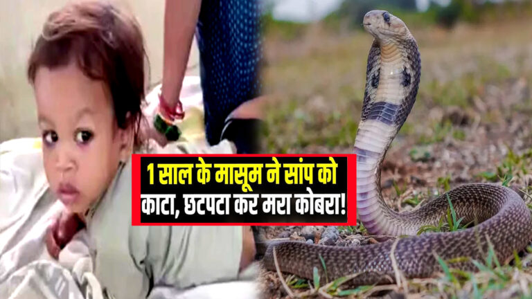 sanp ne bachche ko kata bih