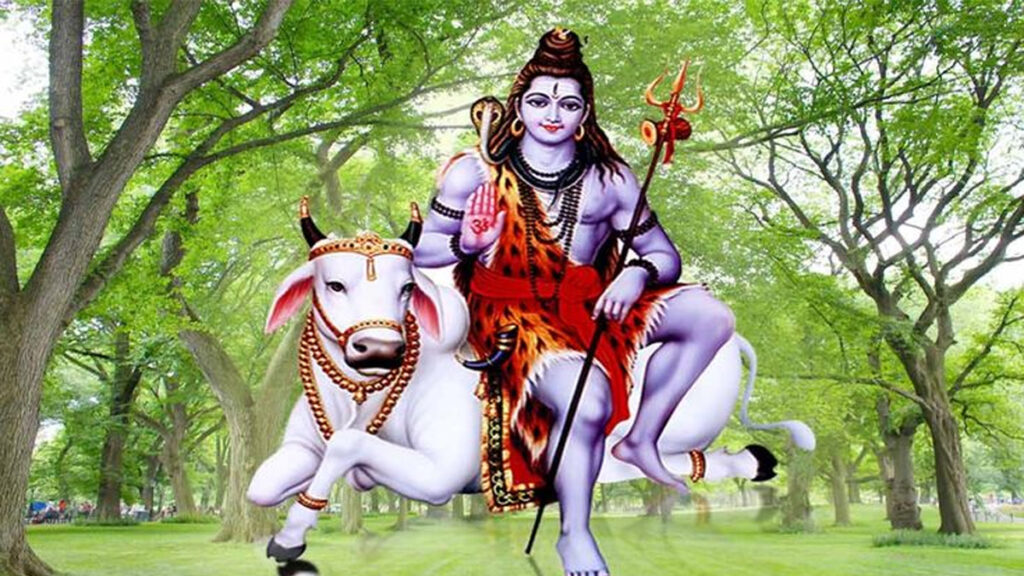 sawan me dan karne ke fayde