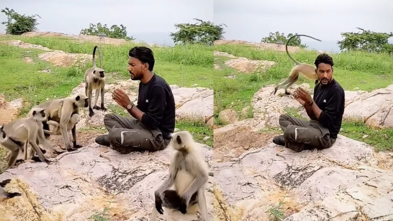 viral video 10