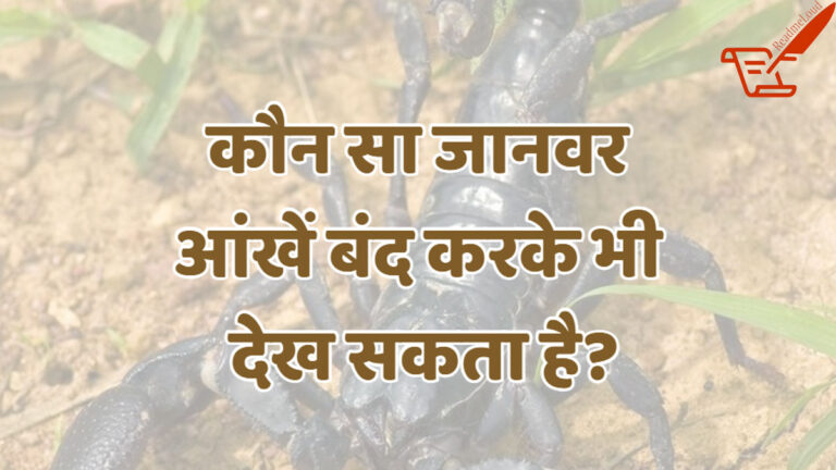 Trending GK Quiz: भूल तो नहीं गए बचपन में पढ़े GK के ये आसान सवाल, याद करो जवाब Trending GK Quiz readmeloud 2