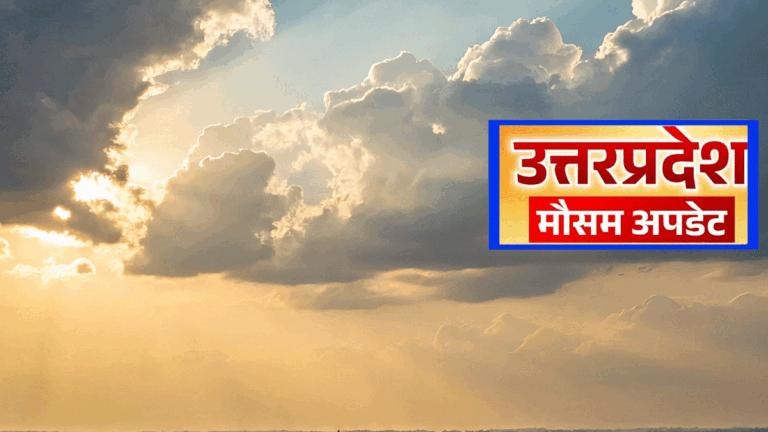 Weather Forecast up 11