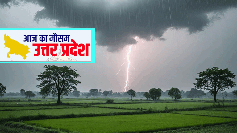 Weather Forecast up 2