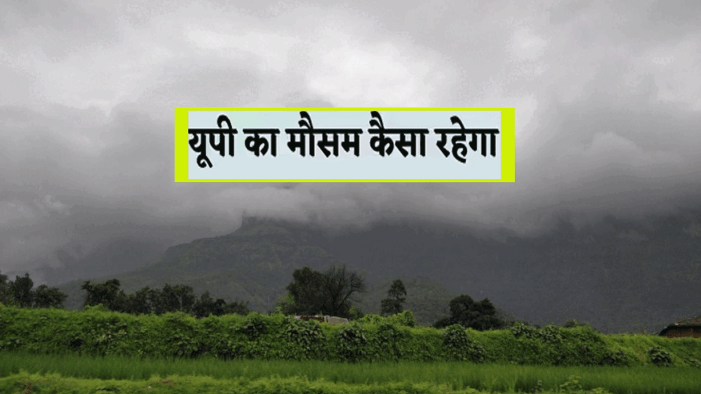 Weather Forecast up 9