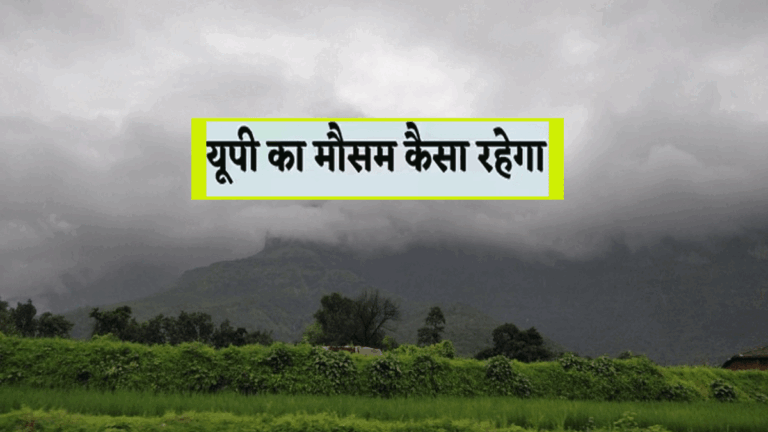 Weather Forecast up 9