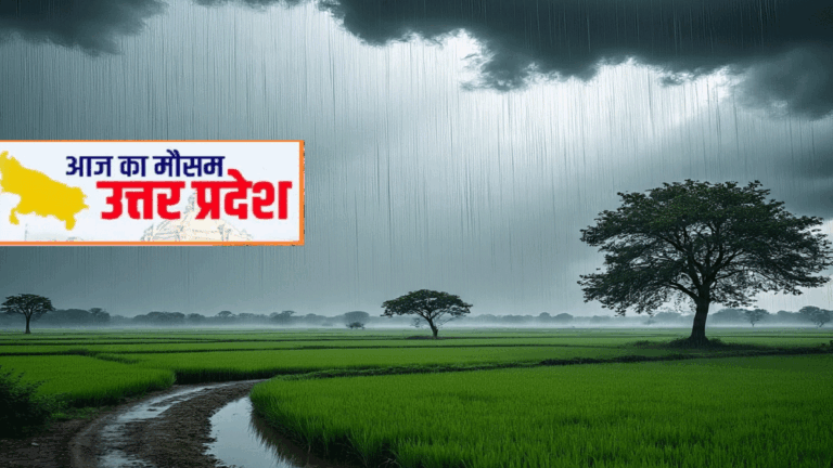 UP Weather Update: 5 सितंबर को बरसेंगे बादल, इन 35 जिलों में बारिश का अलर्ट! Weather Forecast up new