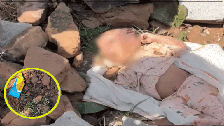 bhilwara baby murder new