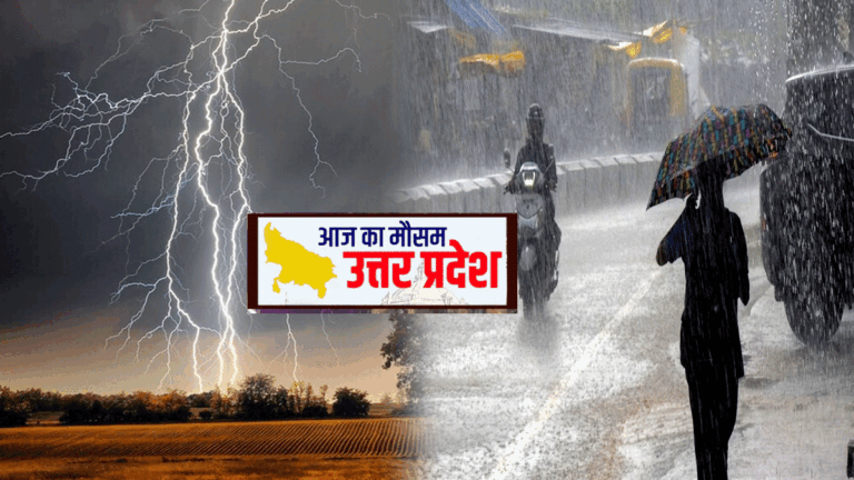 Weather Forecast up 12 1