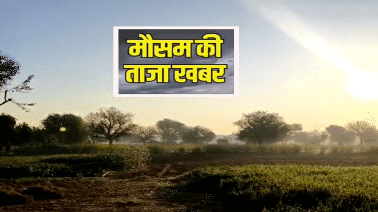 Rajasthan Weather: अब निकाल लीजिए स्वेटर! राजस्थान में तापमान लुढ़का, सुबह-शाम सर्दी का असर तेज Weather Rajasthan 16