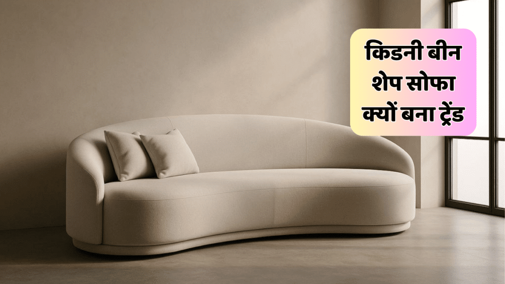 किडनी बीन शेप सोफा: ऐसा डिजाइन जिसे देखकर मेहमान पूछेंगे- ये कहां से लिया? Kidney Bean Shape Sofa