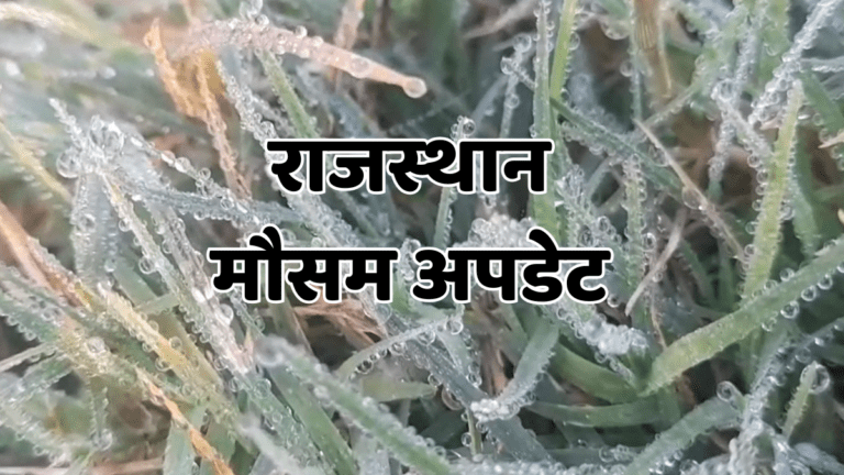 Rajasthan weather: कड़ाके की ठंड से जमने लगा राजस्थान! शेखावाटी में पारा 2°C से नीचे, फसलों पर जमा पाला rajasthan me tej thand