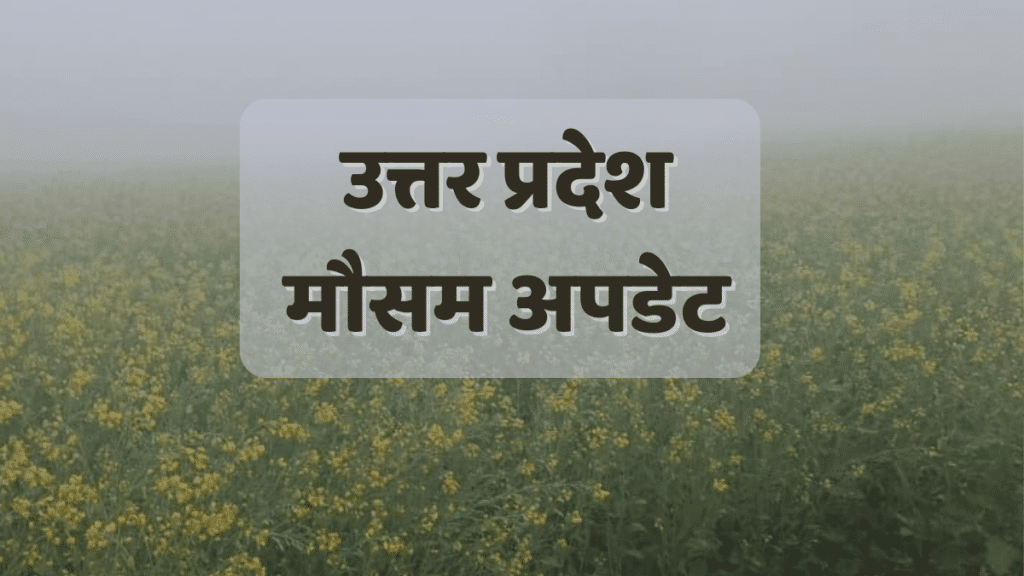 UP Weather Update: UP में ठंड ने तोड़ा रिकॉर्ड! घना कोहरा और शीतलहर का रेड अलर्ट जारी up cold alert