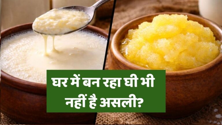 नकली दूध की मलाई से बनता है घी? सच्चाई जानकर चौंक जाएंगे nakli-asli-ghee-ki-pahchan