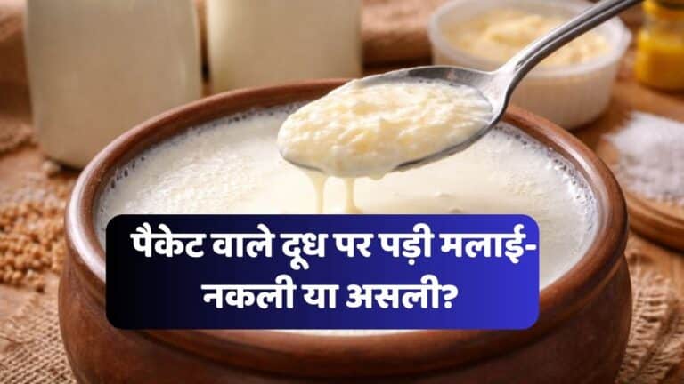 क्या नकली दूध में भी पड़ती है मलाई? सच्चाई जानकर चौंक जाएंगे packet-wale-doodh-ki-malai-asli-nakli