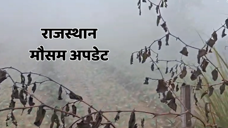 rajasthan weather 5