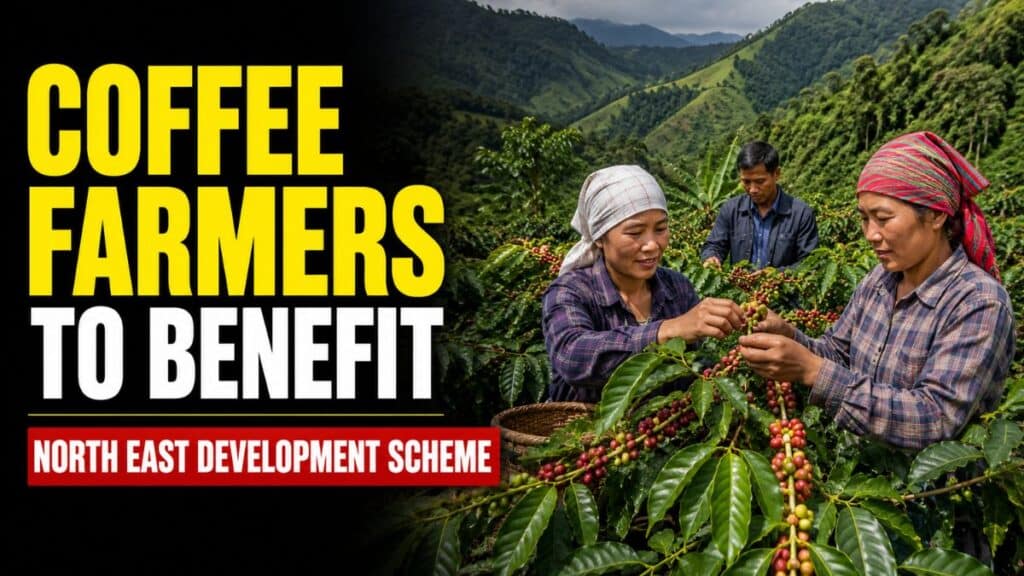 पूर्वोत्तर क्षेत्र में कॉफी उत्पादन बढ़ाने के लिए Coffee Development Programme, किसानों को मिलेगा तकनीकी और वित्तीय सहयोग Coffee Development Programme