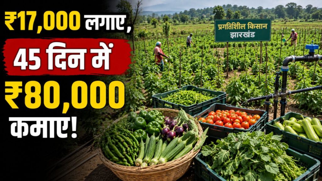 नौकरी नहीं, खेती से बनाई कमाई की नई मिसाल! ₹17 हजार के निवेश से 45 दिन में कमाए ₹80 हजार किसान