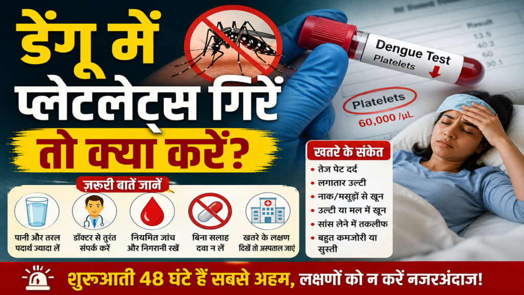 डेंगू के शुरुआती 48 घंटे क्यों होते हैं सबसे अहम? प्लेटलेट्स गिरने पर तुरंत करें ये काम Platelet Count in Dengue